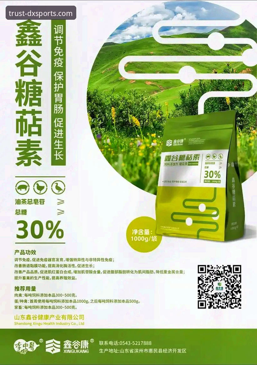 德信体育平台2024年赛事资源深度分析：从下载体验到数据价值的全面解读